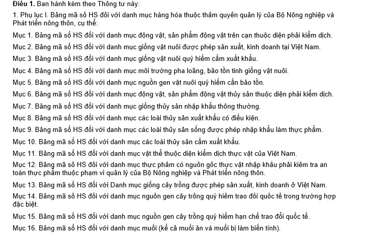 kiem dich tv